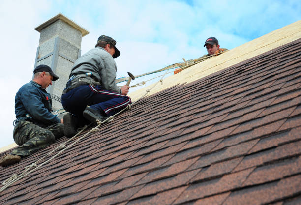 Best Shingle Roofing Installation  in Keshore, LA